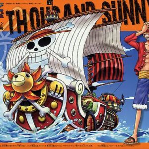 THOUSAND SUNNY (ARMABLE)